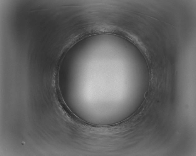 X0000073860010200608241120