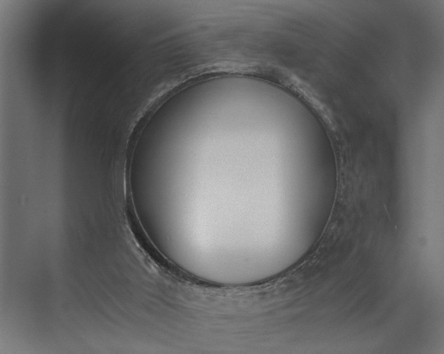 X0000073860011200608241120