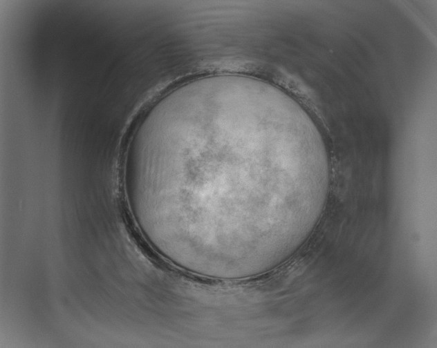 X0000073860012200608241120