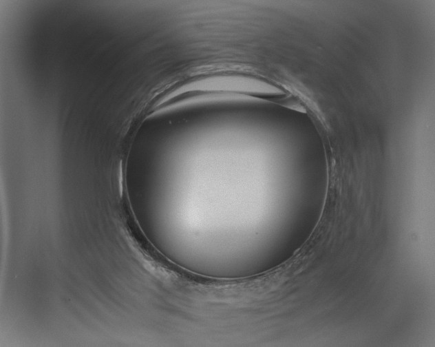 X0000073860013200608241120