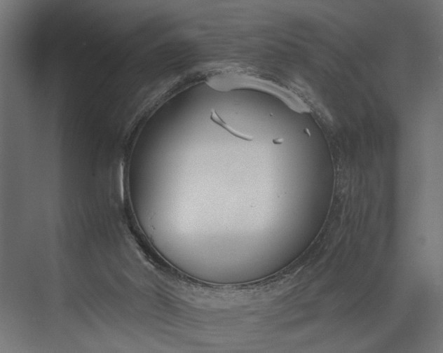 X0000073860014200608241120