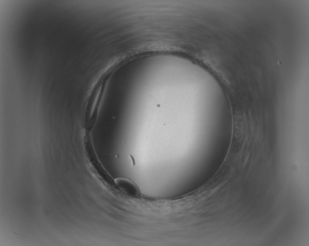 X0000073860015200608241120