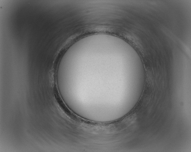 X0000073860016200608241120