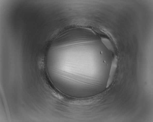 X0000073860017200608241120