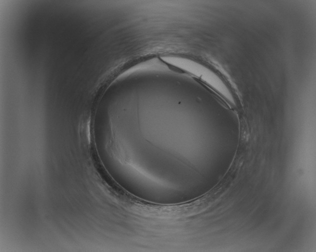 X0000073860019200608241120