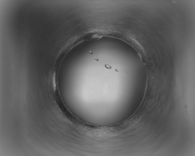 X0000073860020200608241120