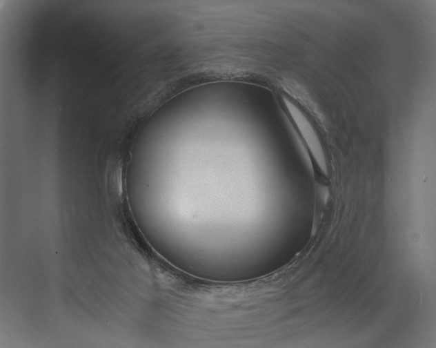 X0000073860021200608241120