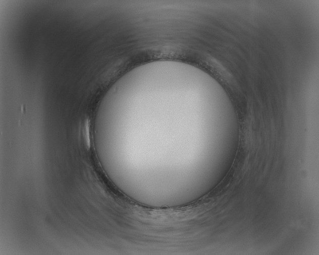 X0000073860022200608241120