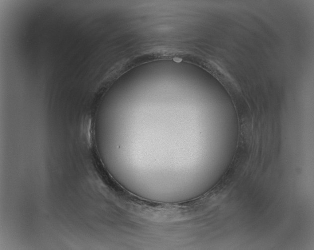 X0000073860024200608241120