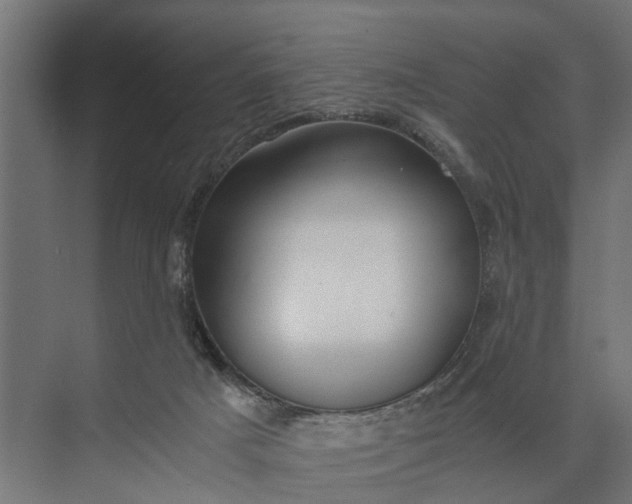 X0000073860025200608241120