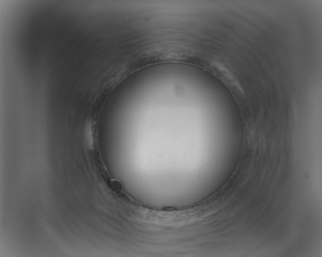 X0000073860026200608241120