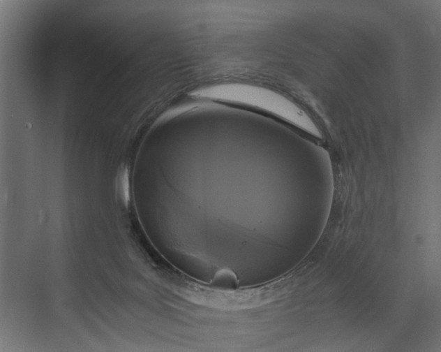 X0000073860027200608241120