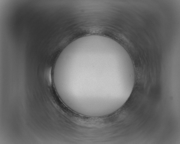 X0000073860028200608241120