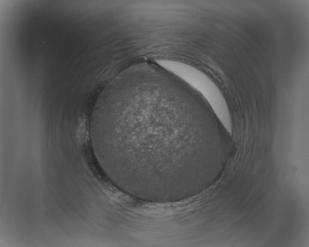 X0000073860029200608241120