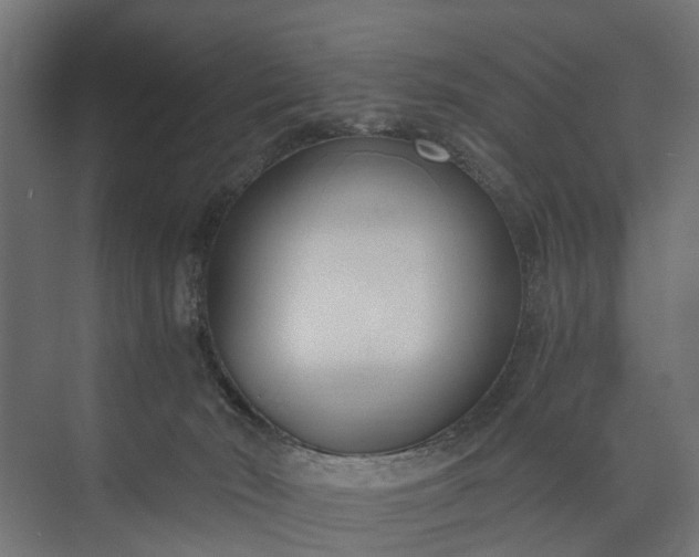 X0000073860030200608241120