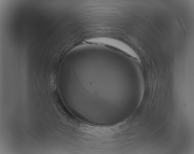 X0000073860031200608241120