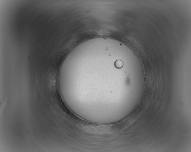 X0000073860032200608241120