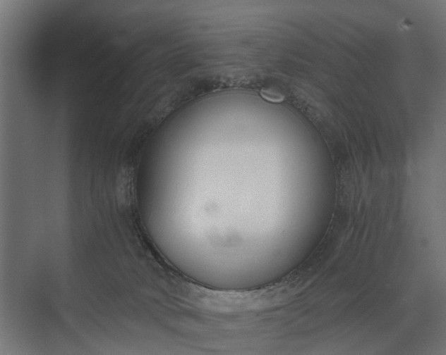 X0000073860034200608241120