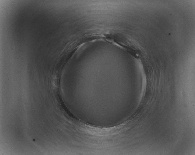 X0000073860035200608241120