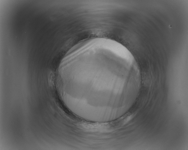 X0000073860036200608241120