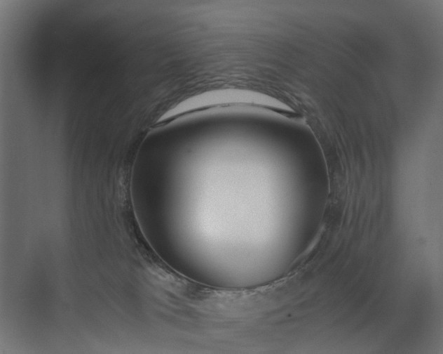 X0000073860037200608241120