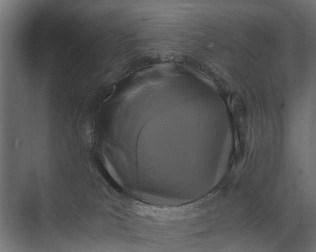 X0000073860039200608241120