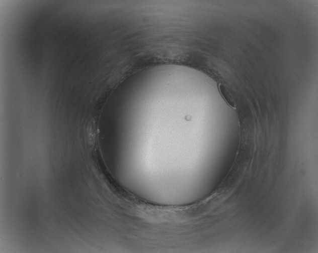 X0000073860040200608241120