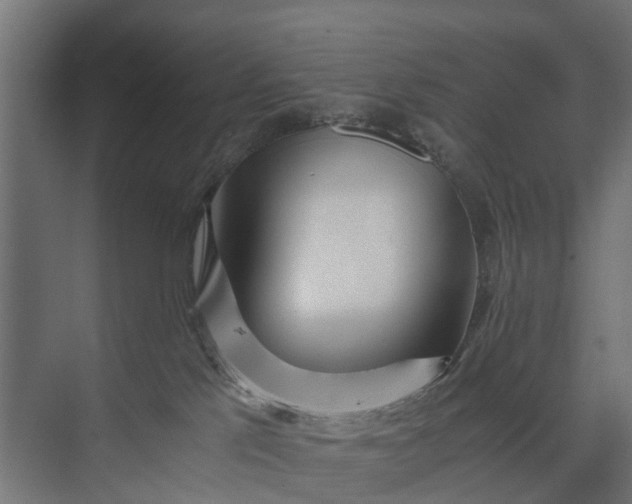 X0000073860041200608241120