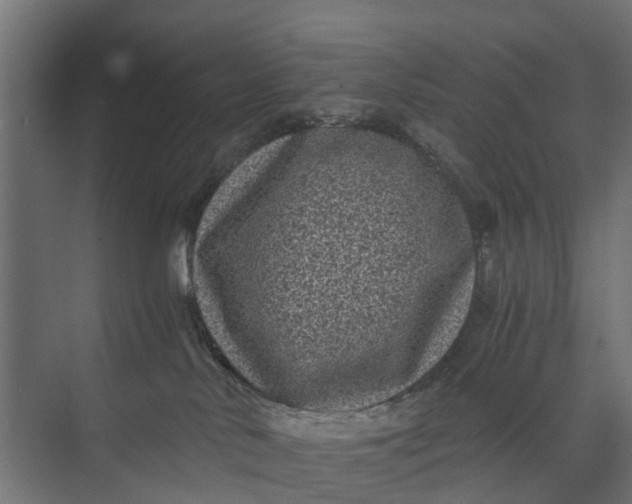 X0000073860042200608241120