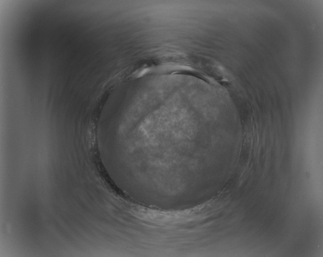 X0000073860043200608241120