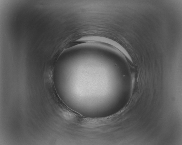 X0000073860045200608241120