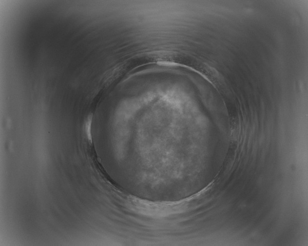 X0000073860047200608241120