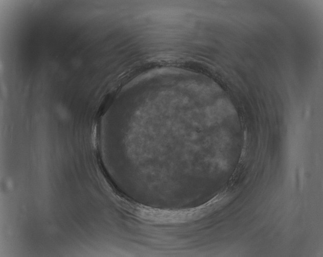 X0000073860048200608241120