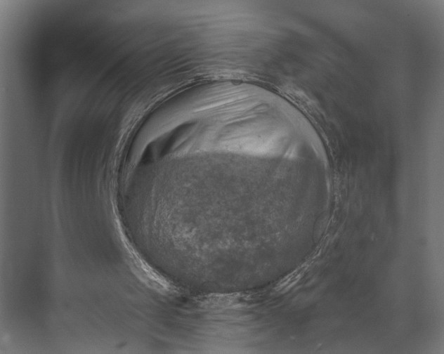 X0000073860049200608241119