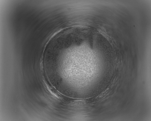 X0000073860050200608241119