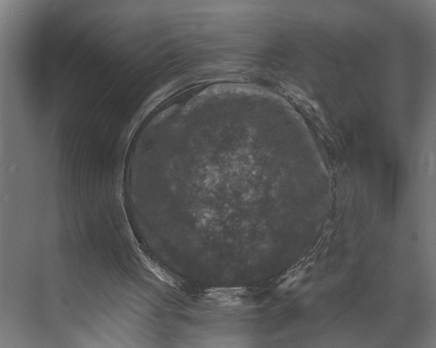 X0000073860051200608241119