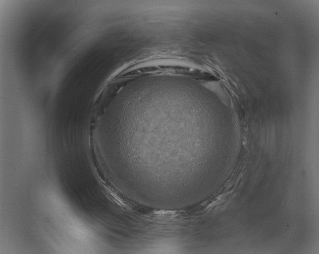 X0000073860052200608241119