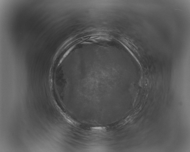 X0000073860053200608241119