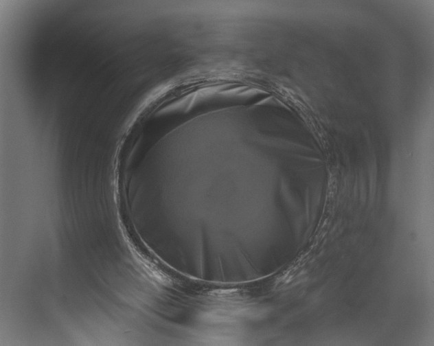 X0000073860054200608241119