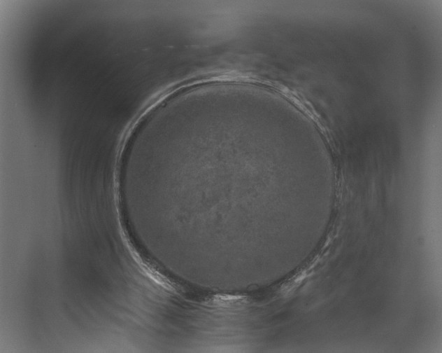 X0000073860055200608241119