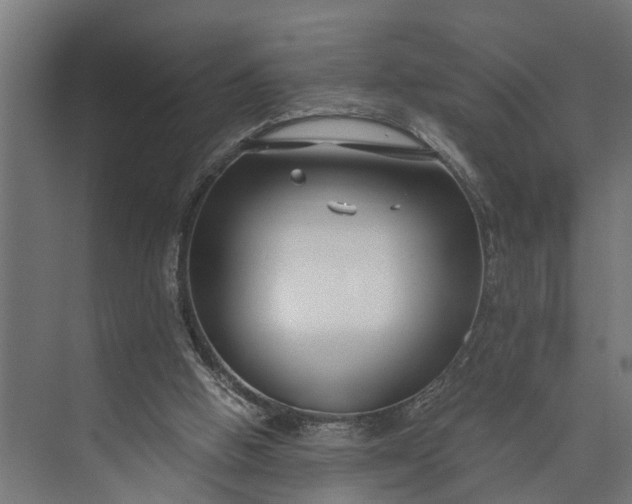 X0000073860058200608241119