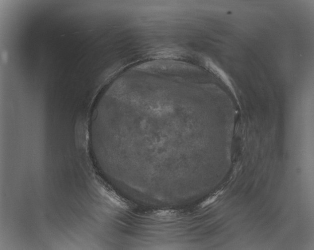 X0000073860059200608241119