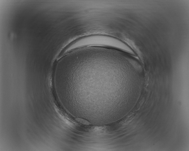 X0000073860060200608241119