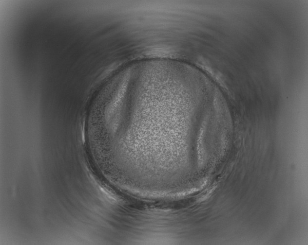 X0000073860062200608241119