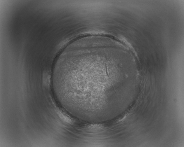 X0000073860063200608241119