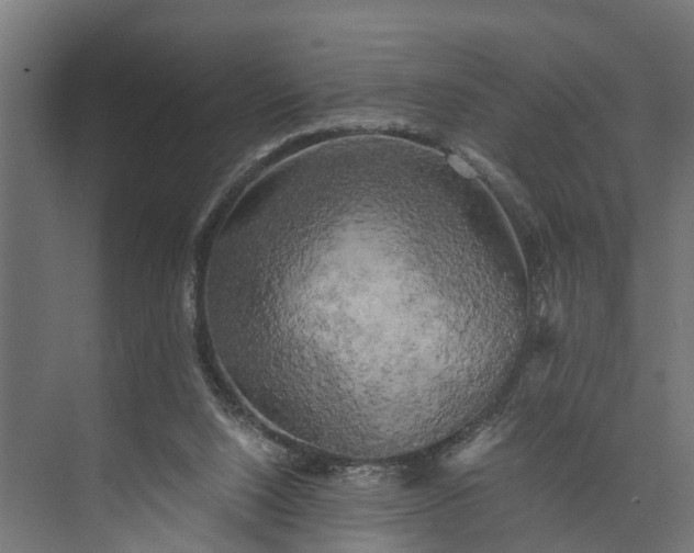 X0000073860064200608241119