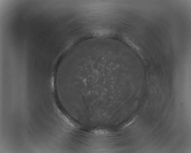 X0000073860067200608241119