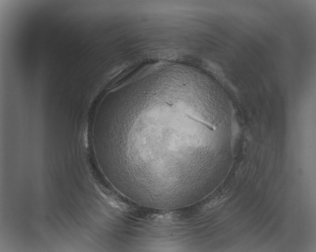 X0000073860068200608241119