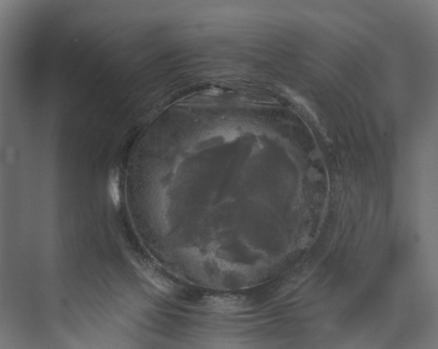 X0000073860069200608241119