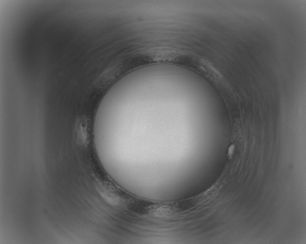 X0000073860074200608241119